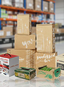 งานบรรจุภัณฑ์